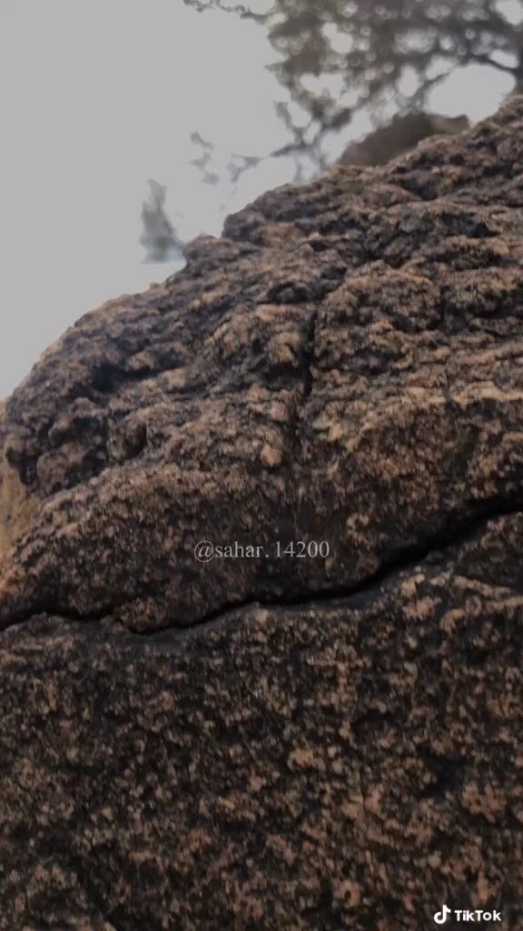 arraheem0's tweet photo. #استمع_للقرآن_الكريم_ثواني #اكتب_شي_تؤجر_عليه #اكسبلور #الحمدلله #قران #تلاوات #مقاطع_دينية #القران_لكريم #صباح_الخير https://t.co/gXj5MiNKHk