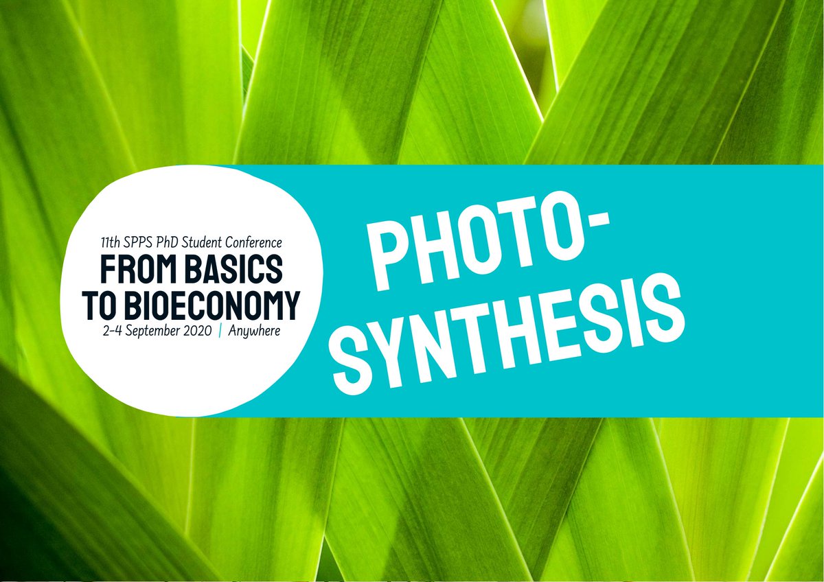 SPPS PhD Student Conference 2020 (@sppsphd) on Twitter photo Photosynthesis session started with an intriguing talk from Assistant Professor Alizée Malnoë <a href="/AlizeeMalnoe/">Alizée Malnoë</a> and continues with presentations from PhD students Pierrick Bru, Heta Mattila and Anita Santana Sanchez 🌞 @UmeaUniversity <a href="/UniTurku/">Turun yliopisto - University of Turku</a> Photosynthesis session started with an intriguing talk from Assistant Professor Alizée Malnoë <a href="/AlizeeMalnoe/">Alizée Malnoë</a> and continues with presentations from PhD students Pierrick Bru, Heta Mattila and Anita Santana Sanchez 🌞 @UmeaUniversity <a href="/UniTurku/">Turun yliopisto - University of Turku</a>