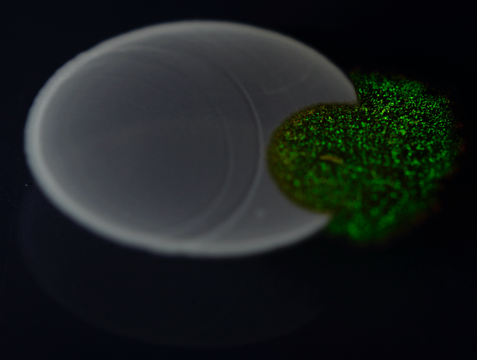 Laura Catón tweet media