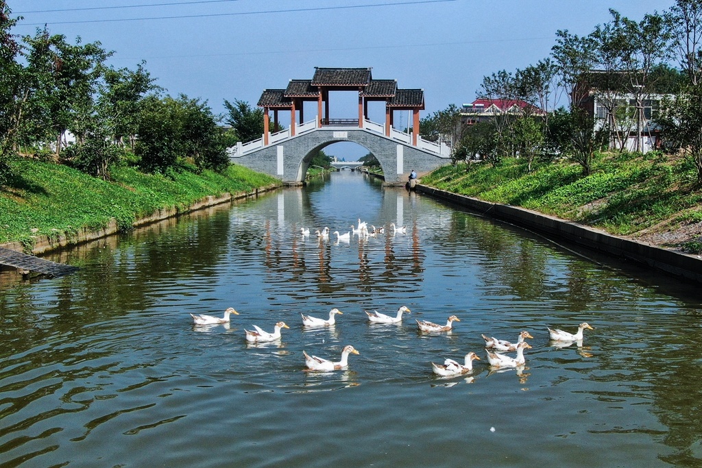 GoJiangsu's tweet photo. Jingjiang, a city located on the banks of the Yangtze River, boasts amazing scenery. You should visit! #Jiangsu https://t.co/KiE8qwWr3n