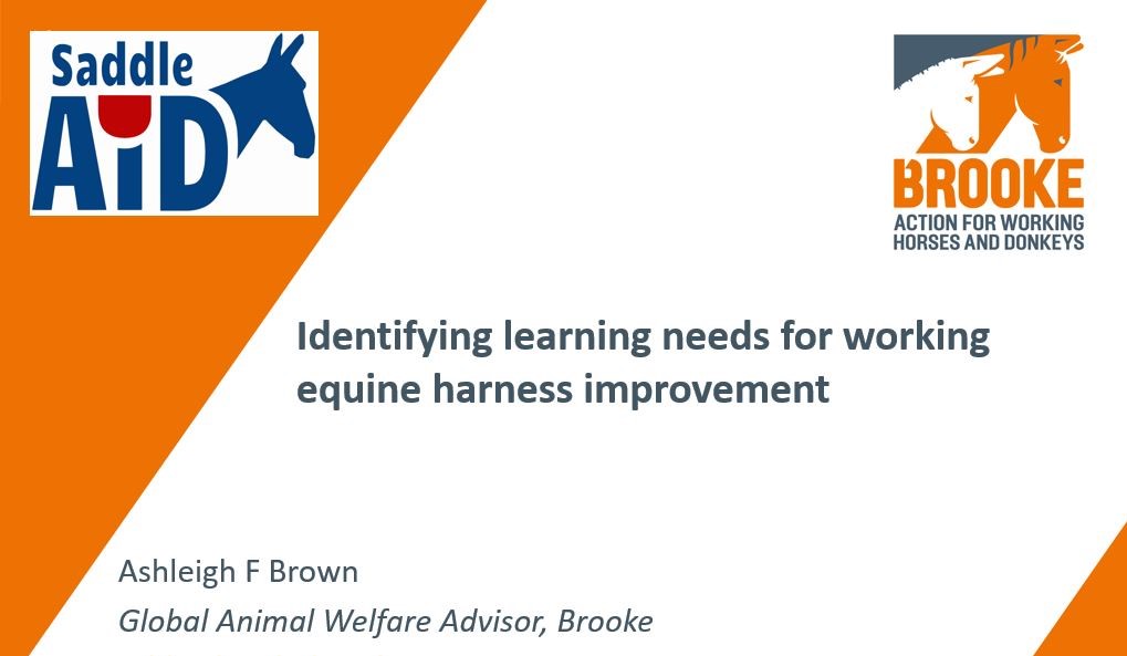 Brooke &amp; <a href="/SaddleAid/">SaddleAid</a> undertook #research to understand learning needs around #harnessing with equine welfare practitioners from 12 countries. The project revealed gaps in knowledge &amp; confidence that will inform our programme. Tune into our talk <a href="/ISAZOfficial/">International Society for Anthrozoology (ISAZ)</a> conference. #ISAZ2020