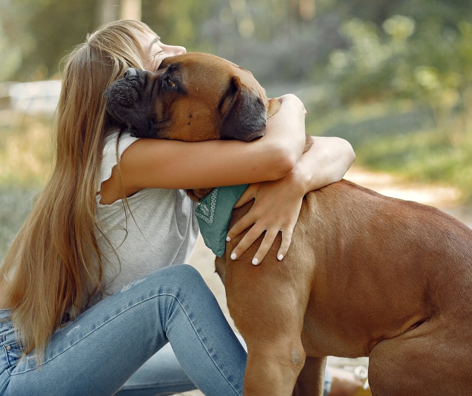 Dinbeat Home Devices tweet media