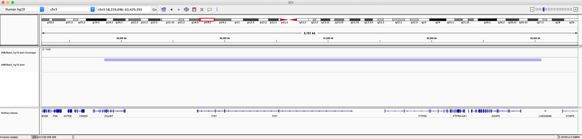DanTurnez's tweet image. 2.86 Mb isn&apos;t cool. You know what&apos;s cool? A 4 Mb read.
Nice work @circulomics and @simonmayes2000, I think this qualifies as a @nanopore @longreadclub killer whale