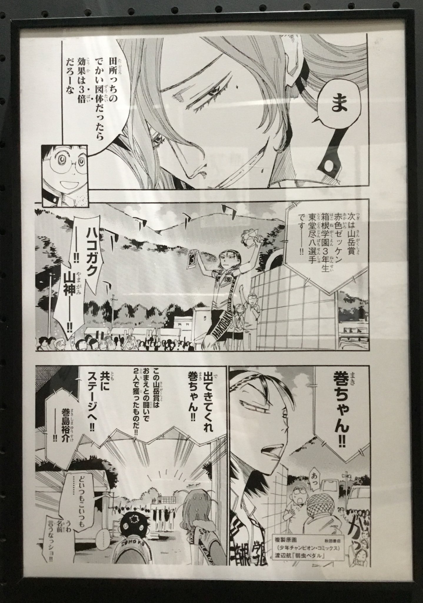 青春漫画 弱虫ペダル 東堂尽八 複製原画 シリアル入り イケメン！ 青春