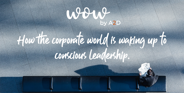 a2dconcierge's tweet photo. What does it mean to be a conscious leader? https://t.co/qbPn8QV4g8 https://t.co/5uMIvXnb2O