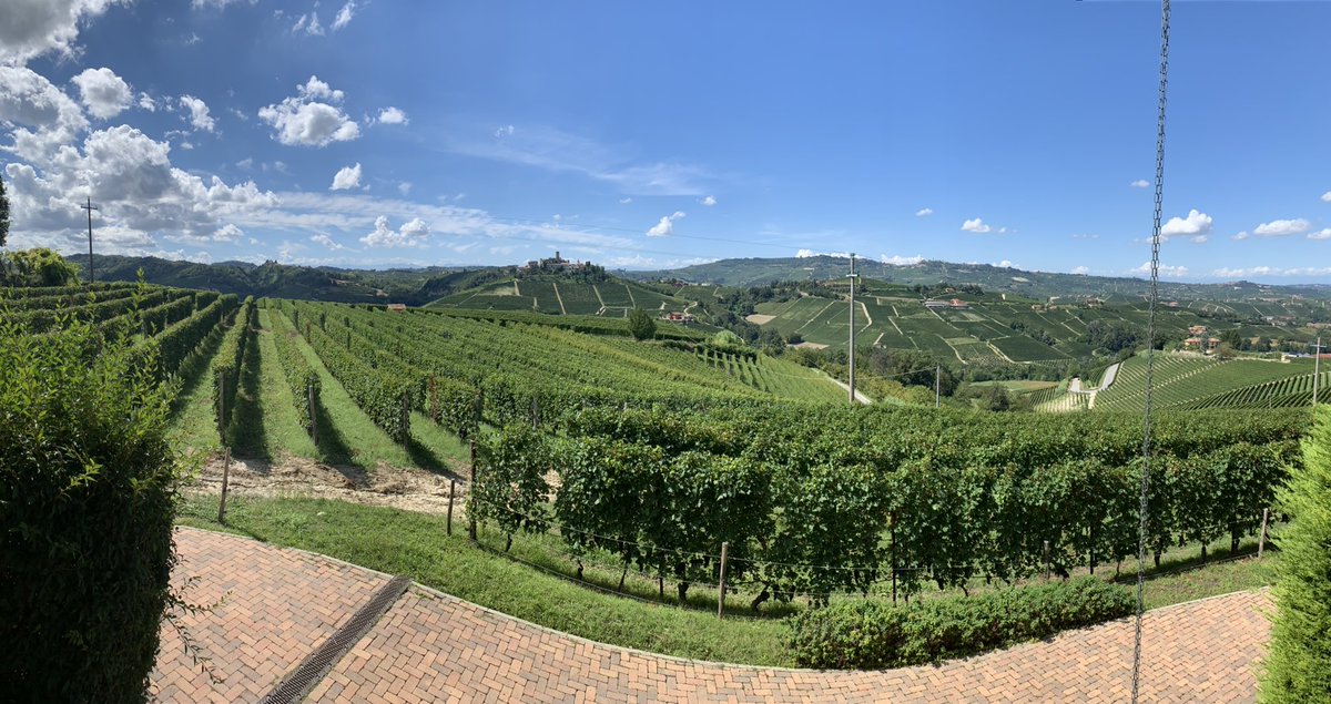 joefattorini's tweet photo. Barolo is the most beautiful vineyard area in the world. I will brook no dissent https://t.co/ns17Kffeq3