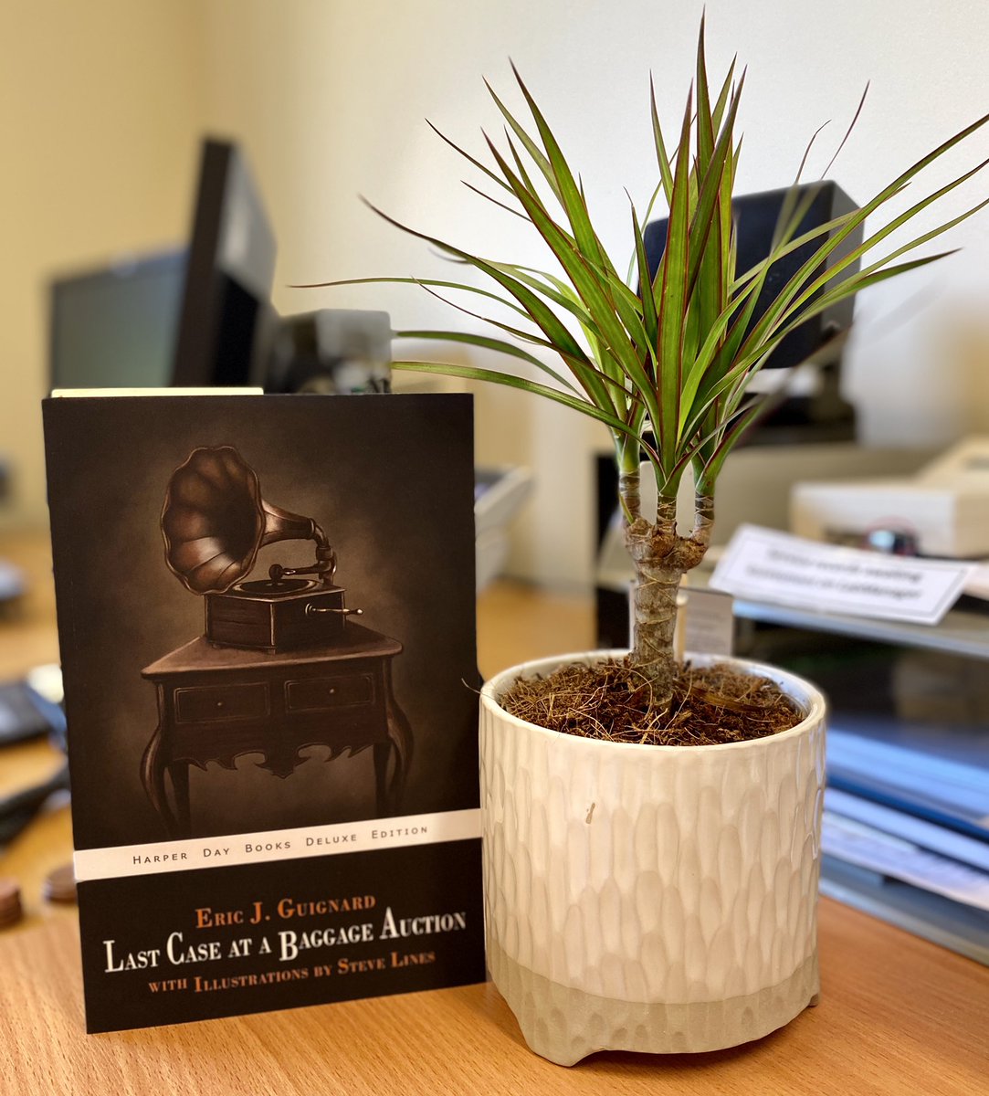 osborne_dean's tweet photo. Got myself a new plant for my desk at work. 🌱
As always a book accompanies me wherever I go and today it is Last Case at a Baggage Auction by Eric J. Guignard 📚
#BookTwitter #workplants https://t.co/wgWLbW8L5A