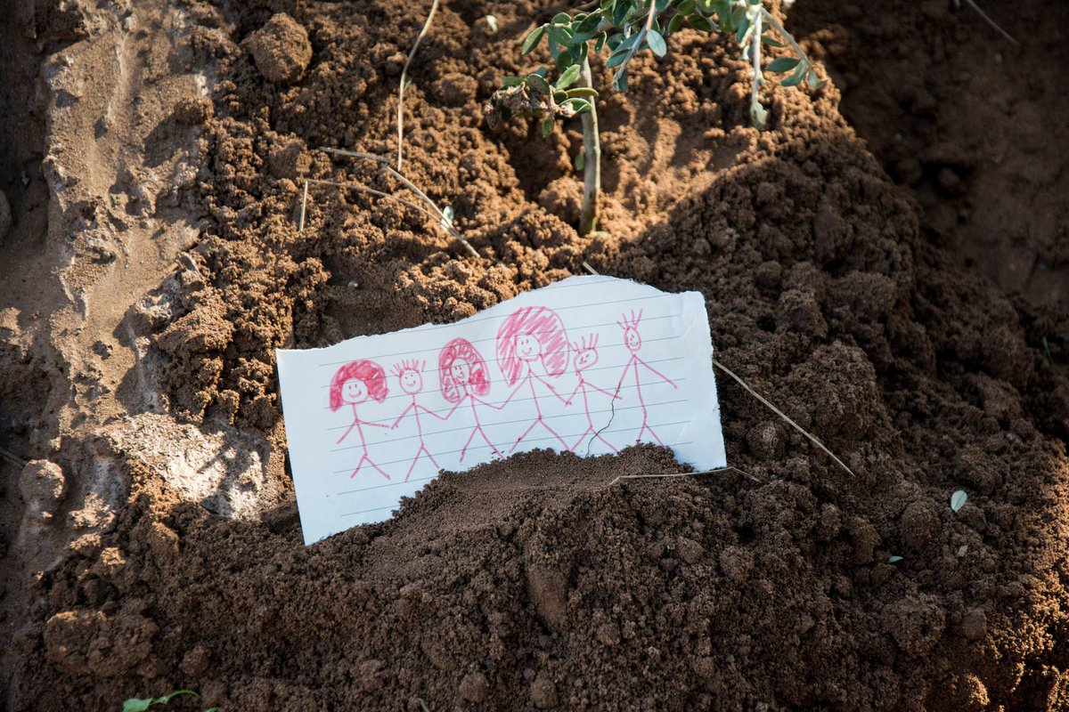 Doğa Network tweet media