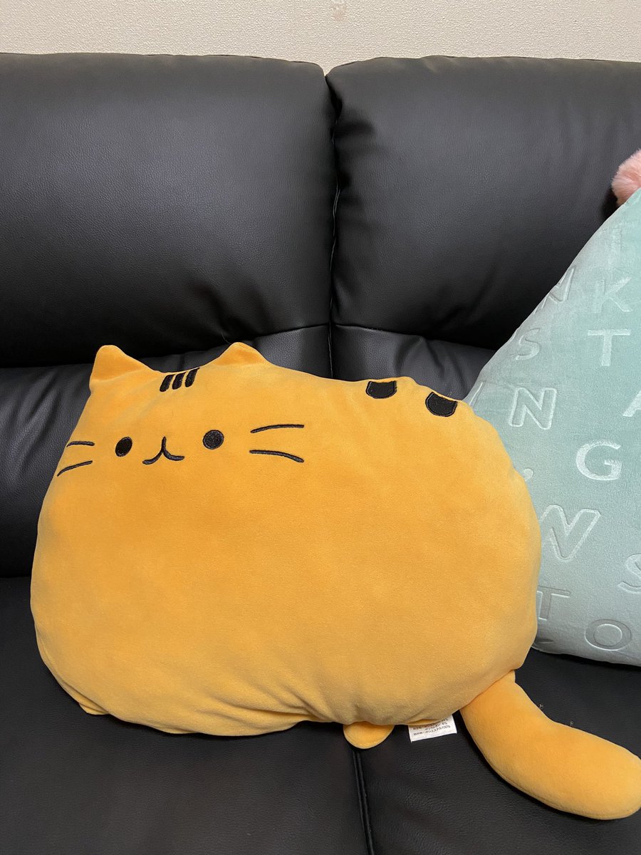 可愛いから良しとしよう