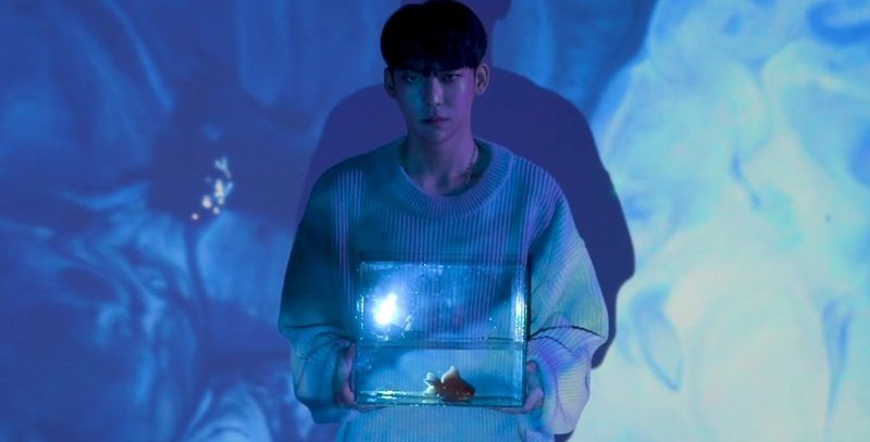 Chawon (차원)Stage name: ChawonBirth name: Kim Sungwoo (김성우) Position: Main vocalistBirthday: November 2nd, 1994Day: Saturday