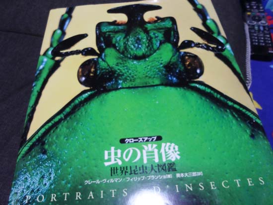 七海ルシア ドラゴンの最強王図鑑 好評発売中です その12 虫の肖像 世界昆虫大図鑑 ちょっと怖いけど繊細で美しい虫の世界へようこそ とにかく虫たちの顔面のドアップを拝みたい人におすすめ T Co Eu9uzijwqc Twitter