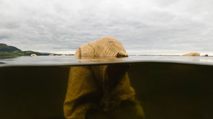 Creative Ireland (@creativeirl) on Twitter photo A stunning image taken from Underwave, an immersive exhibition currently situated under the sea at Sligo Bay from artist Bettina Seitz as part of <a href="/TreadSoftlyFest/">Tread Softly</a>, supported by the Creative Ireland Programme. treadsoftly.ie
📸: Fionn Rogers A stunning image taken from Underwave, an immersive exhibition currently situated under the sea at Sligo Bay from artist Bettina Seitz as part of <a href="/TreadSoftlyFest/">Tread Softly</a>, supported by the Creative Ireland Programme. treadsoftly.ie
📸: Fionn Rogers