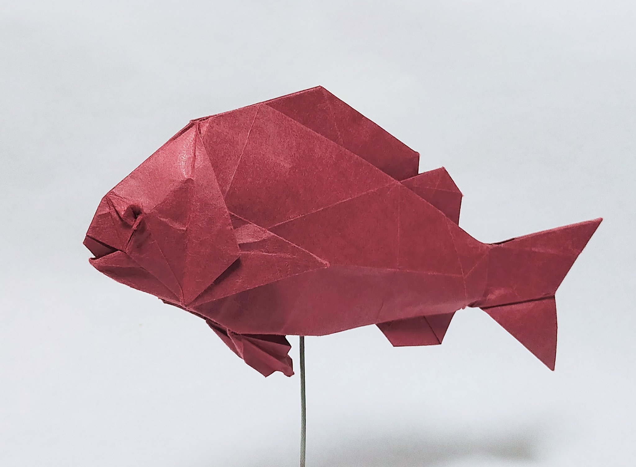 Tanchun55 鯛 創作 僕 折り紙 折り紙作品 Origami Tanchun55 鯛 創作 僕 折り紙 折り紙作品 Origami