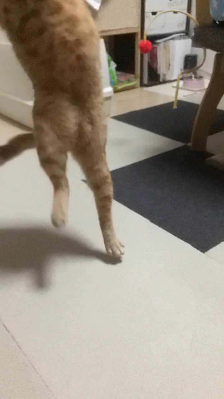 @yunc24291 今からそっちへ行きますにゃ！トウッ💨 