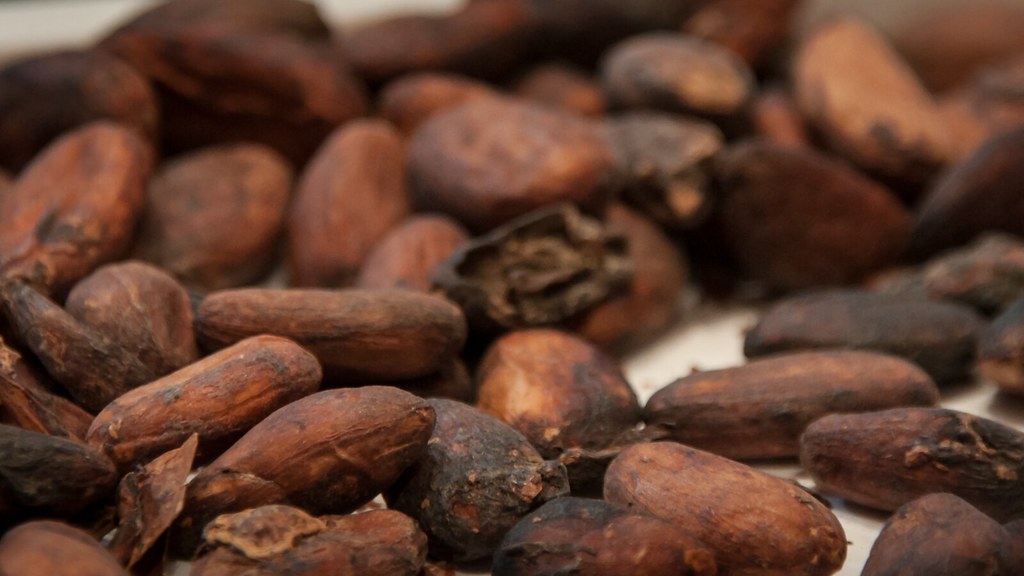 EcomnewsAfrique's tweet photo. En #CôtedIvoire, 600 000 petits exploitants pourront mettre en place une culture du #cacao respectant l’#environnement grâce au projet #PROMIRE. Celui-ci a obtenu un appui financier de 11,8 millions $ auprès de @theGCF, avec l’assistance de la @FAOAfrica. https://t.co/rP0wXvF3TA https://t.co/XgagrBlm21