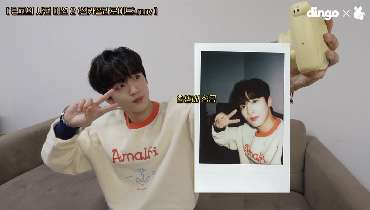 dingo(딩고) tweet media