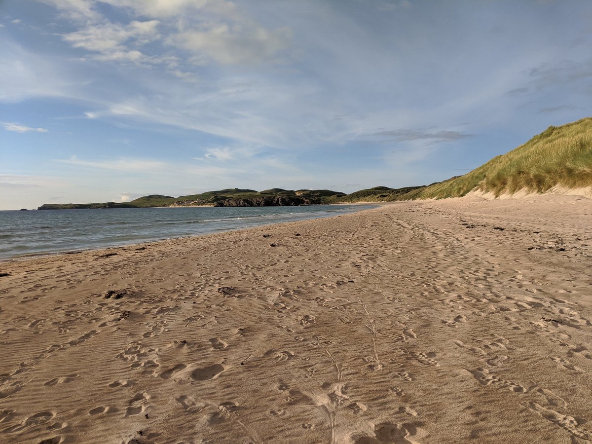 Nippehippe's tweet photo. My first ever discovery of mermaid's purses and I bloody found four! Spotted ray, thornback ray and blonde ray? Thanks for the ID help @wildlifeni. Balnakeil Beach in Durness, Scotland. @SharkTrustUK https://t.co/DVBk6STjOi