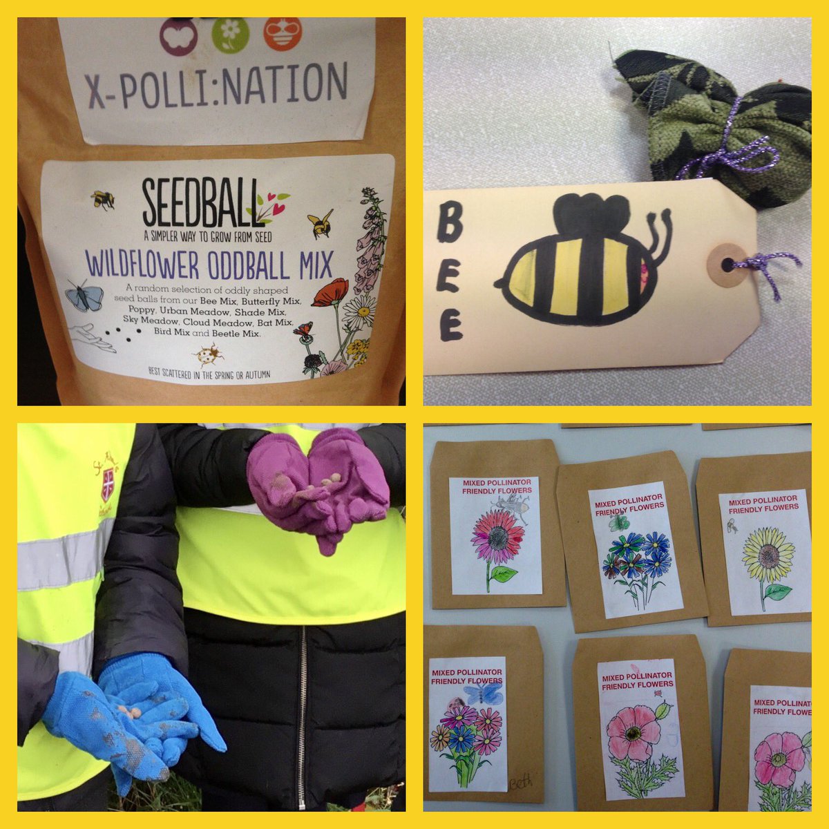 msnewman1001's tweet photo. Did you use your @seed_ball planting to make a #PolliPromise? Donβt forget to post your plots! And if youβre planning to #RefillTheWorldWithPollinators by sowing this autumn, you can make it a https://t.co/BDhR7HOWHf too. https://t.co/F1ztxIkZoe