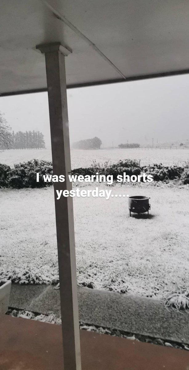 Anna Corn tweet media