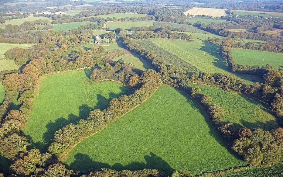 Lormée reconnaît aux  #chasseurs des efforts pour la conservation du bocage, la plantation de haies et l’entretien de chaumes. Mais c'est aussi leur job : art. L420-1 du  #CE "les chasseurs contribuent au maintien (...) des écosystèmes en vue de la préservation de la  #biodiversité"