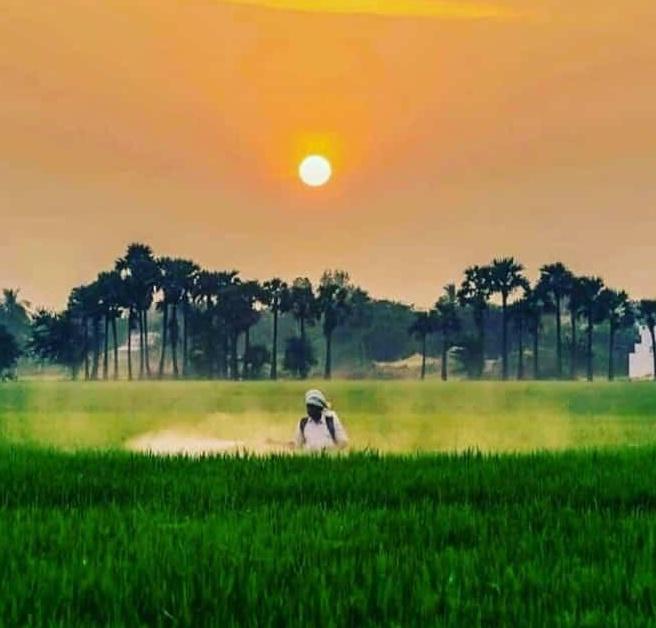 SagarKarande_'s tweet photo. शेतीक्षेत्र सोडता ( +3.4%)... प्रत्येक क्षेत्रातील भारतातील GDP चे आकडे चिंताजनक...
 सगळ्यात दुर्लक्षित क्षेत्रानेच तुमची इज्जत राखलीय #अर्थव्यवस्था....
 #शेती क्षेत्रच भारतीय अर्थव्यवस्थेचा कणा आहे हे यावरून सिद्ध होते.
#Agriculture is #Backbone of #IndianEconomy https://t.co/rZfiPixtBN