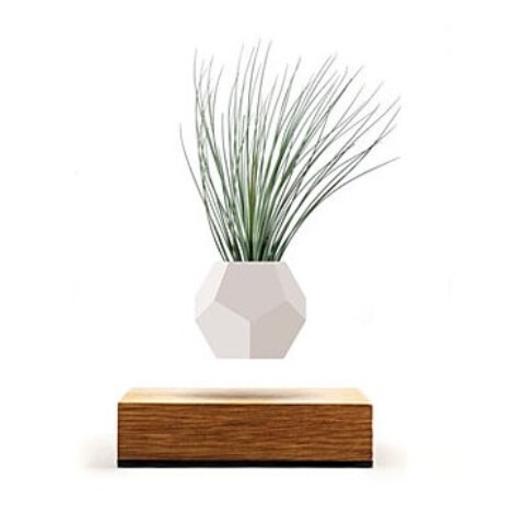 空中に植物を浮かせる 新しいプランター