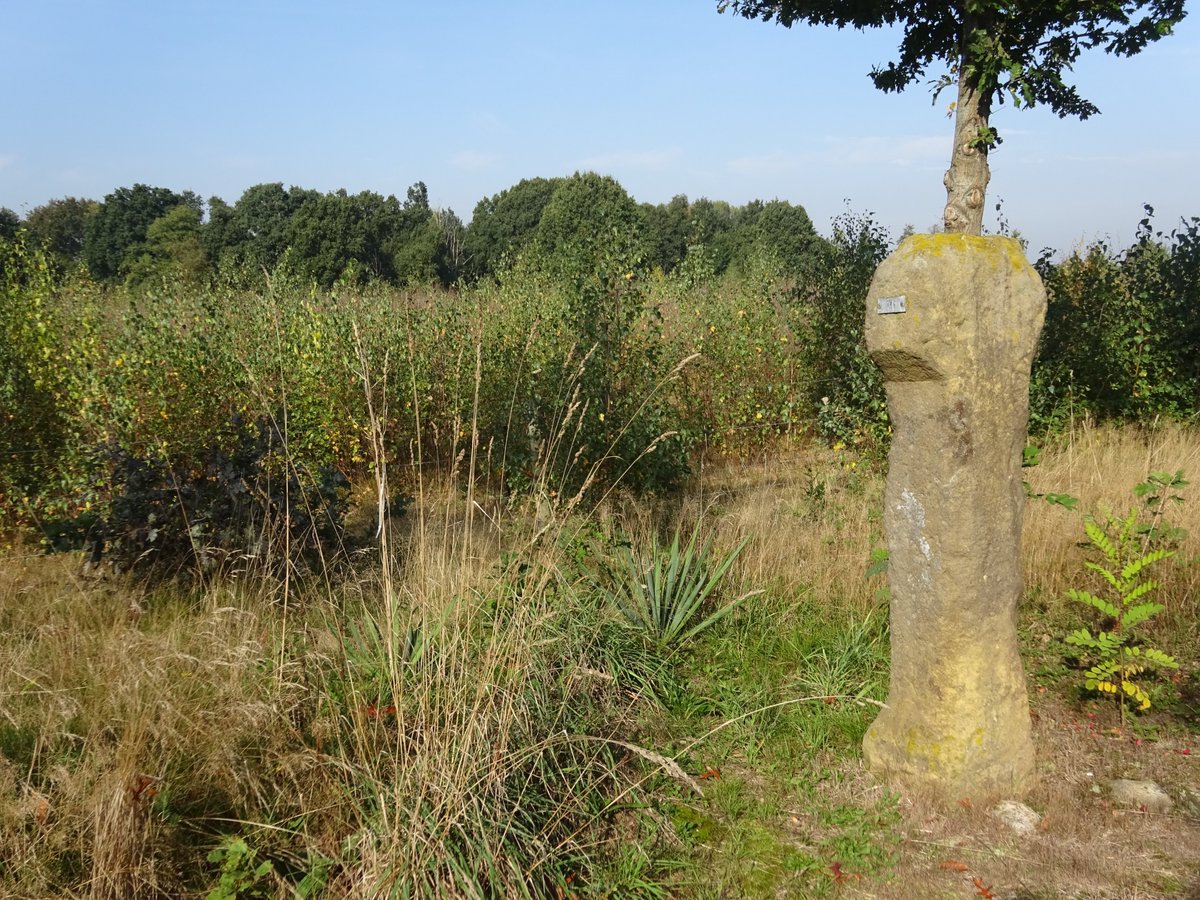 Oproep 📢 Ik zoek verhalen/anekdotes over het Gronings-Duitse grensgebied in de naoorlogse jaren. Hoe keken inwoners van de <a href="/GemWesterwolde/">Gemeente Westerwolde</a> na de Tweede Wereldoorlog naar hun oosterburen? Hoe werd het contact hersteld? Waar ontmoette men elkaar? Alvast mijn grote dank! 🙏