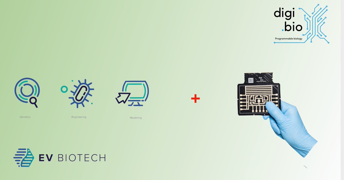 DigiBio (@digi_bio) on Twitter photo Digi.Bio is joining forces with <a href="/EV_biotech/">EV Biotech</a> to bring our micro-reactor technology and <a href="/EV_biotech/">EV Biotech</a>'s cutting edge modelling and genetic engineering techniques to digitise, miniaturise and accelerate cell-line development for therapeutic applications. #dmf #synbio Digi.Bio is joining forces with <a href="/EV_biotech/">EV Biotech</a> to bring our micro-reactor technology and <a href="/EV_biotech/">EV Biotech</a>'s cutting edge modelling and genetic engineering techniques to digitise, miniaturise and accelerate cell-line development for therapeutic applications. #dmf #synbio