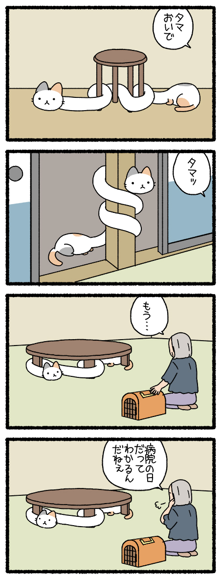 ねこようかい ろくろくび
#ねこようかい 