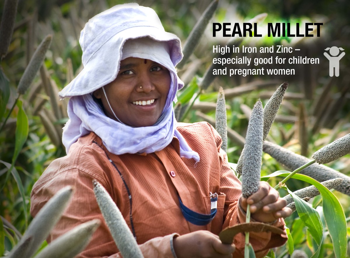 #NationalNutritionWeek begins in India today, let's salute the mandate crops of #ICRISAT, which are rich in #nutrition, apart from being hardy and climate-resilient. 
#PearlMillet is a storehouse of iron and zinc - vital for growth and development!
#PoshanMaah