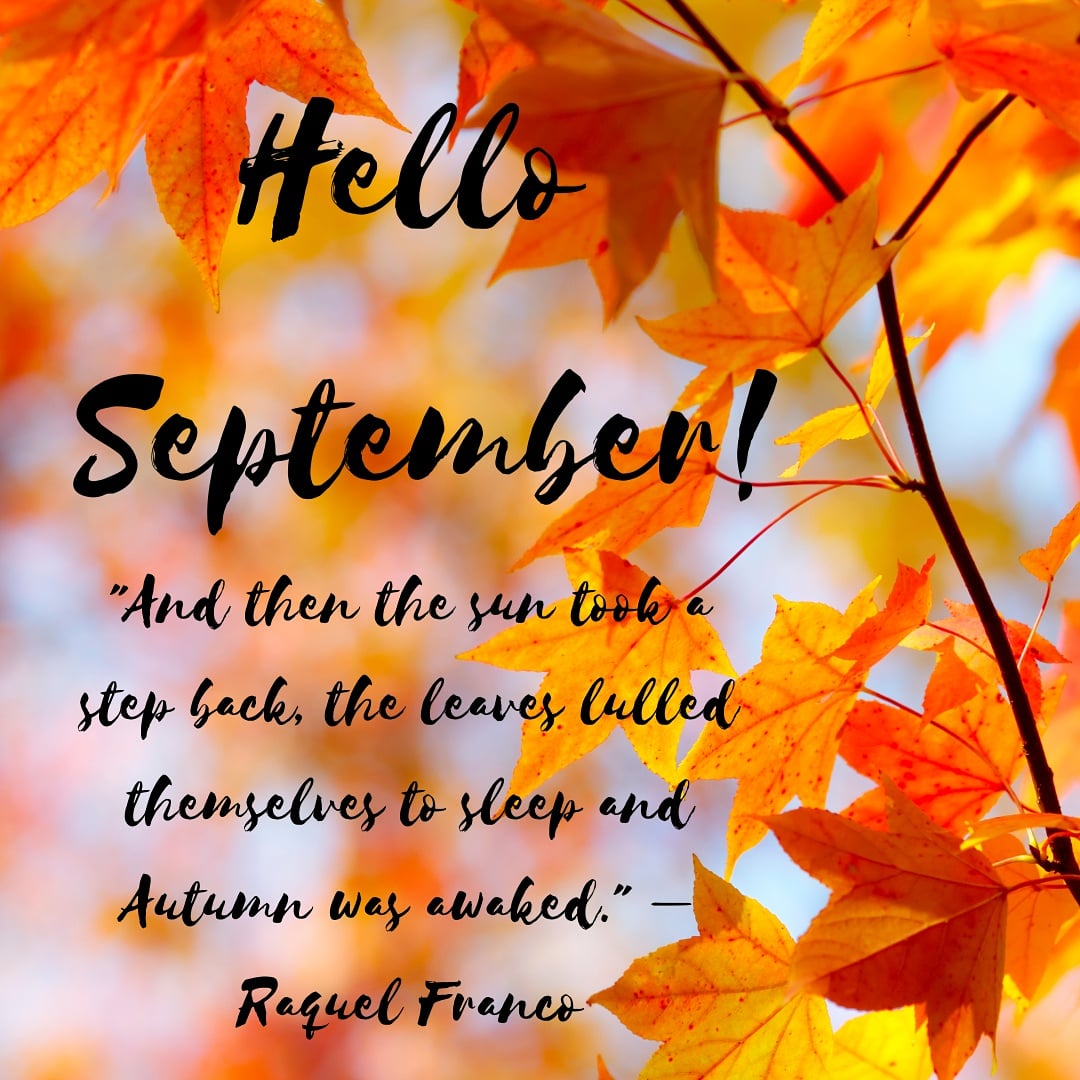 Kenmare Bay Hotel (@kenmarebayhotel) on Twitter photo Hello September!
Lots of changes for many people this month but almost like a new start!
The 1st of September has almost become the new 1st of January..
Let's do this!
#staycation #familybreaks #kenmare #helloseptember #backtoschool
<a href="/Kenmare_dot_ie/">Kenmare.ie</a> <a href="/SelectIreland/">Select Hotels</a> Hello September!
Lots of changes for many people this month but almost like a new start!
The 1st of September has almost become the new 1st of January..
Let's do this!
#staycation #familybreaks #kenmare #helloseptember #backtoschool
<a href="/Kenmare_dot_ie/">Kenmare.ie</a> <a href="/SelectIreland/">Select Hotels</a>