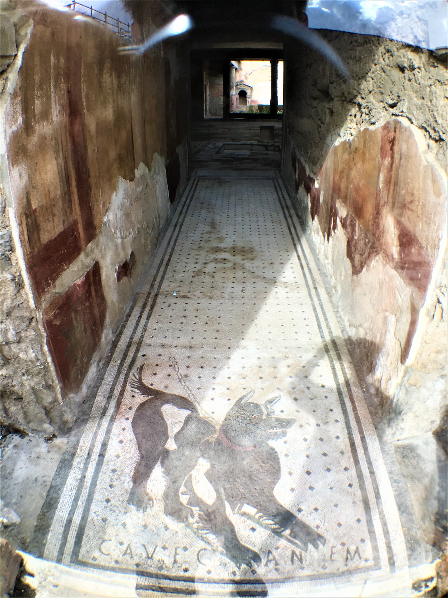 Dice K ボスがキーを隠した犬の床絵 ジョジョ5部 ポンペイ遺跡 悲劇詩人の家