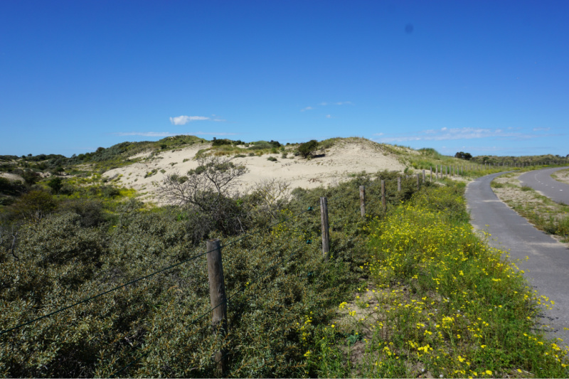 EvaHopstaken's tweet image. Lekker weg in eigen land:
Stap op de (elektrische) fiets en ontdek de #Bloemenstreek. Toeren langs dahlia&apos;s, duinen en diverse dorpen. omnitraveler.nl/bloemenstreek-…