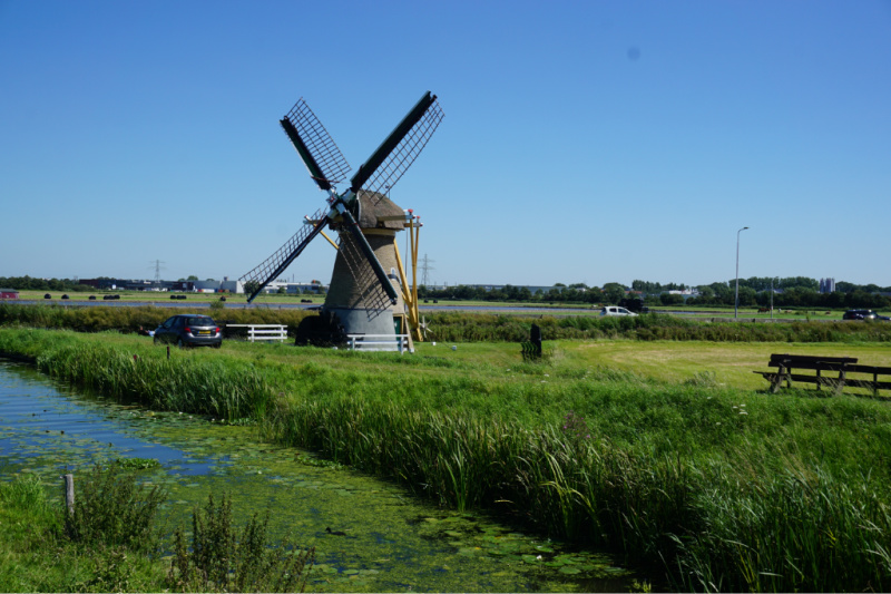 EvaHopstaken's tweet image. Lekker weg in eigen land:
Stap op de (elektrische) fiets en ontdek de #Bloemenstreek. Toeren langs dahlia&apos;s, duinen en diverse dorpen. omnitraveler.nl/bloemenstreek-…