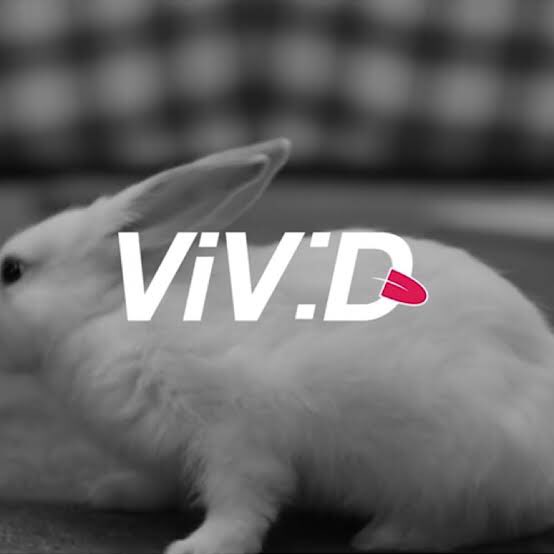 the first member is born, with a solo vivid. Brings color to the loonaverse. His representative animal is a rabbit.