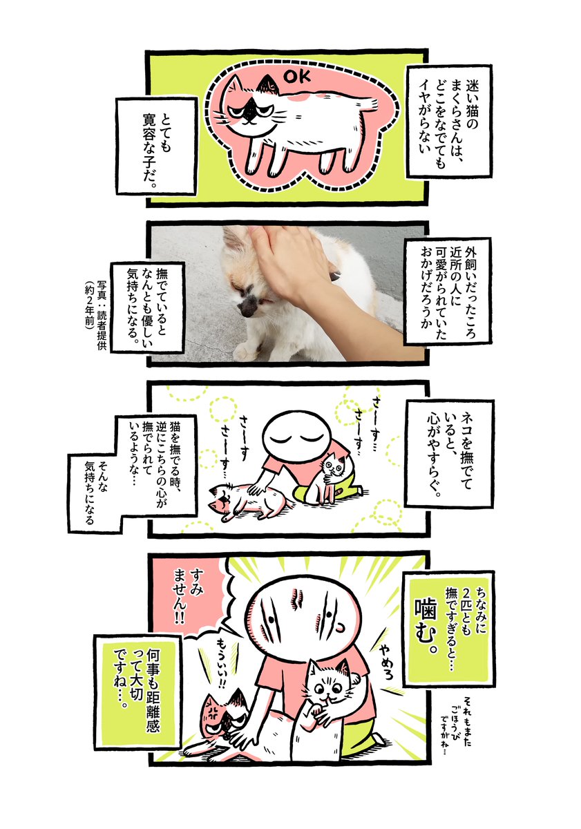 漫画家のカメントツ先生の家に老猫さんが迷い込む 飼い主さんが見つかる 猫さんを引き取ったカメントツ先生 元飼い主さんの庭掃除をする 2ページ目 Togetter 漫画家のカメントツ先生の家に老猫さんが迷い込む 飼い主さんが見つかる 猫さんを引き取ったカメントツ先生 元飼い主さんの庭掃除をする 2ページ目 Togetter
