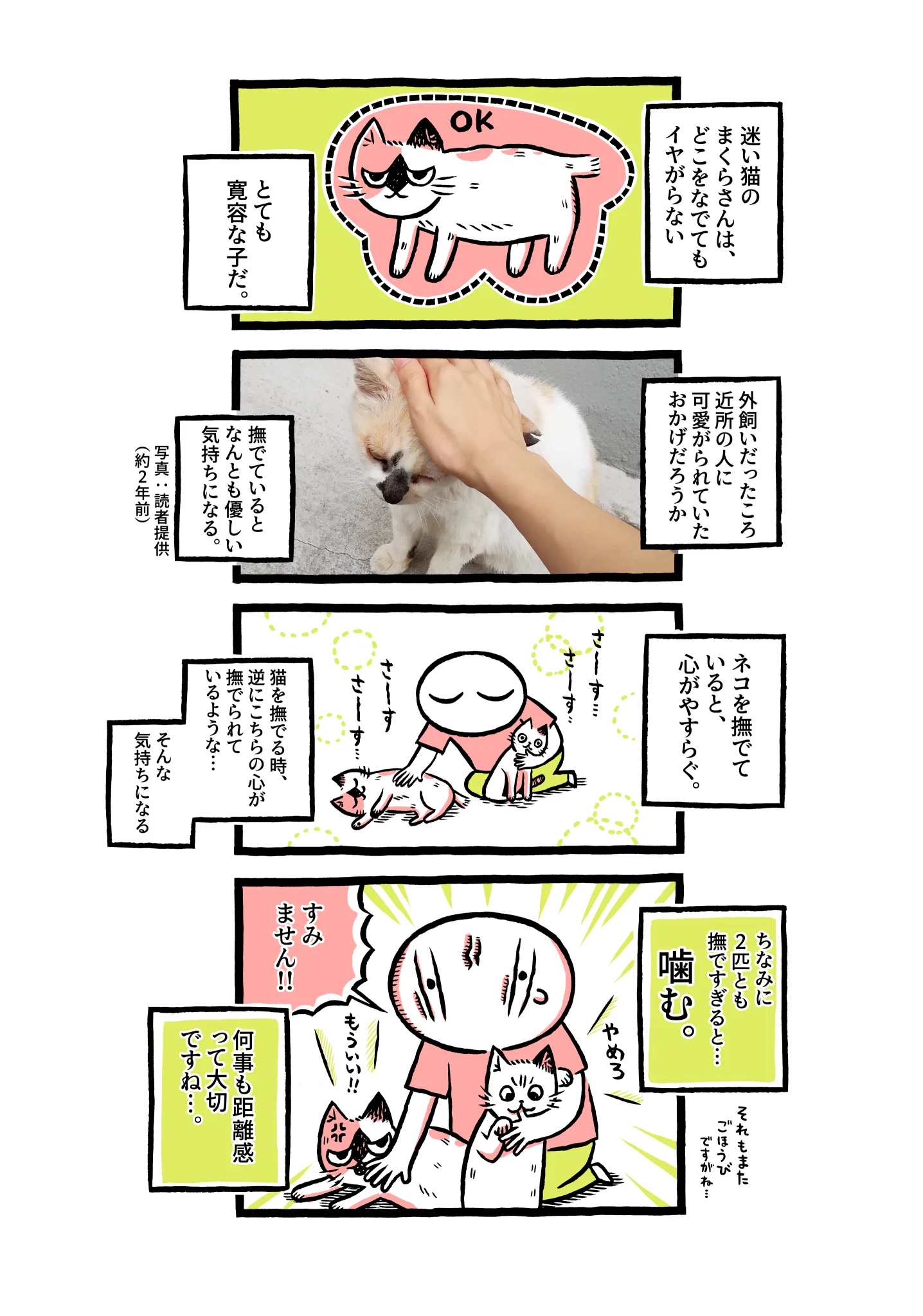 撫でていい場所は猫によって違う？ただし撫ですぎ厳禁！ｗｗ