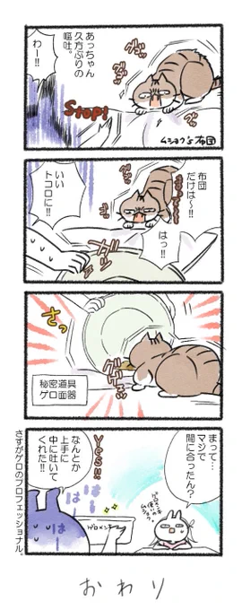 ほんと!!布団だけは!!勘弁な!!!#るーさん #るー3 #日常 #日記 #4コマ漫画  