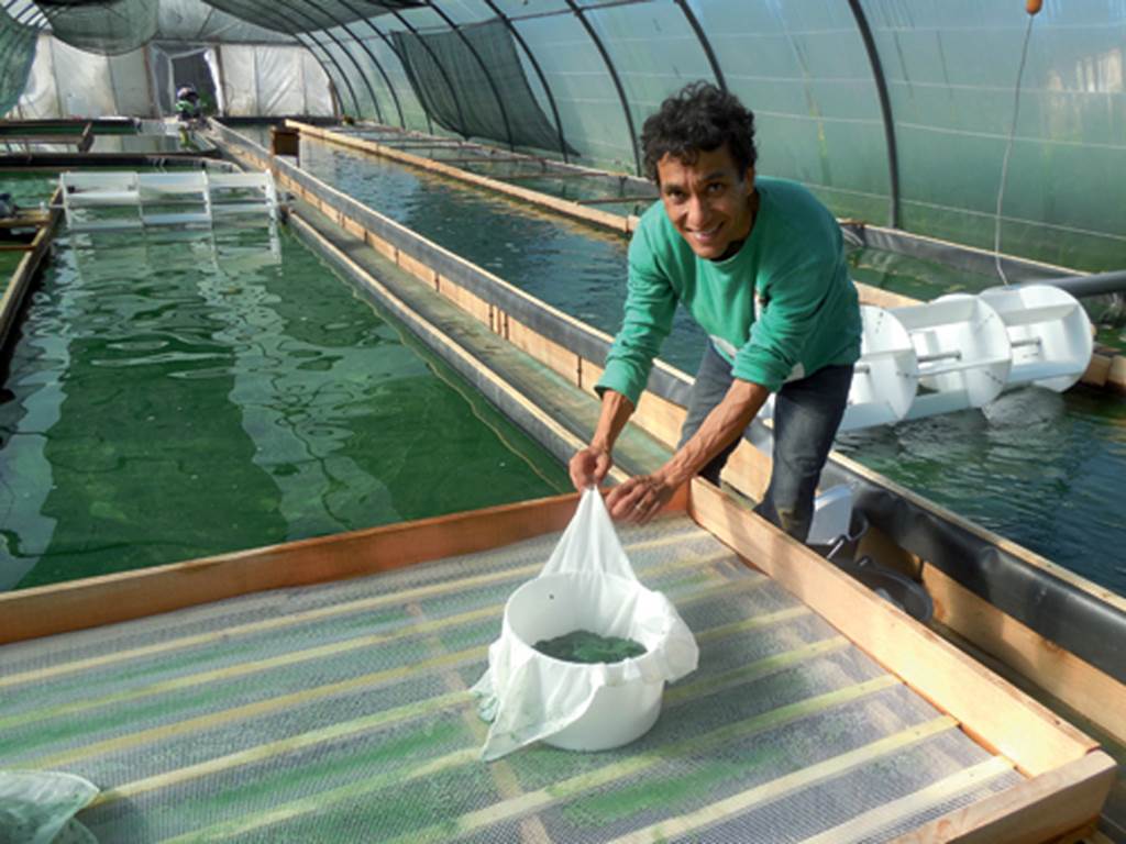 🚜 De ferme en ferme 2020 – Spiruline Arc-en-ciel : Découverte de la #permaculture 🍃🍀 unidivers.fr/rennes/de-ferm… in <a href="/unidiversmag/">Unidivers Mag</a>