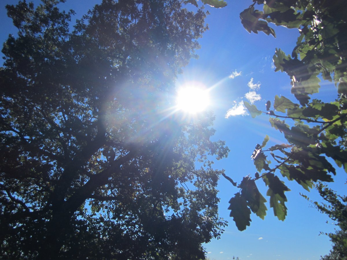 @healthgenerati1 vielen Dank für`s Folgen Sonnige Grüße, sabinaheinsohn.de