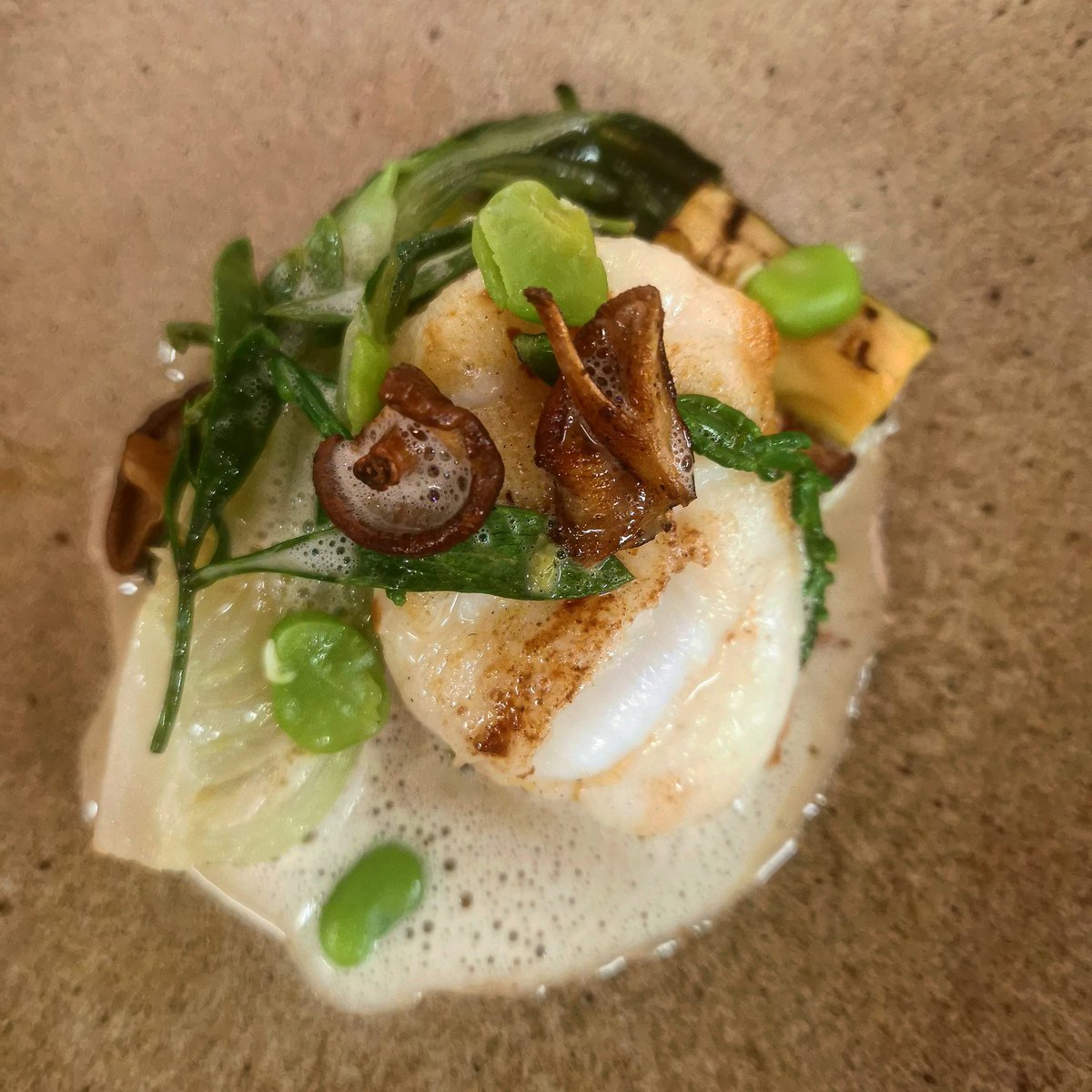 Monkfish from the tasting menu with Lemon Grass, Pak Choi, Coconut, Shitake <a href="/thegrapesboa/">The Bunch of Grapes</a>
<a href="/BathLifeMag/">Bath Life</a> @food_mag