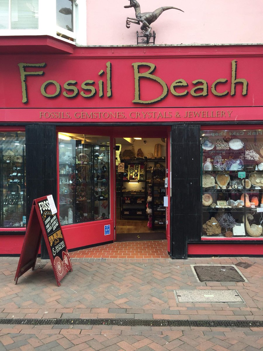 2020Mywey's tweet photo. Located near the seafront of Weymouth, Fossil Beach is the place to go to find gorgeous gemstones, fossils and jewelry that make for perfect holiday souvenirs. 
With safety precautions in place, there's no reason not to pay this wonderful shop a visit. #weymouth #fossils #gems https://t.co/NTCivCuxaz