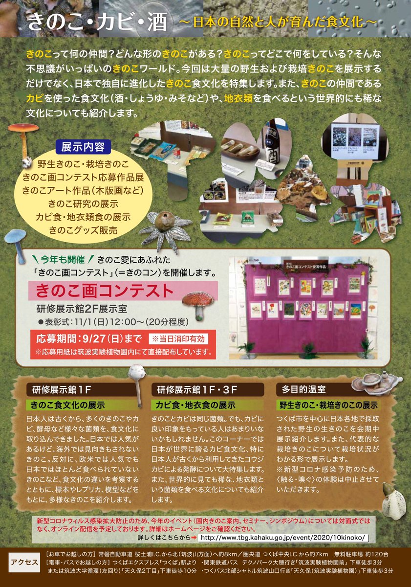 ほいじんが 筑波実験植物園 きのこ カビ 酒 日本の自然と人が育んだ食文化 不思議がいっぱいのきのこワールド 今回は大量の野生および栽培きのこを展示するだけでなく 日本で独自に進化したきのこ食文化を特集します 10月24日 土 11月