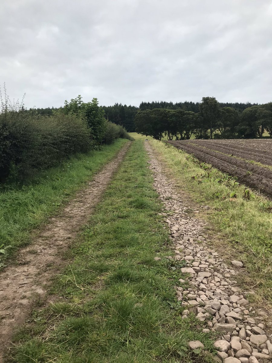 Maristotle's tweet photo. First day trialling socially distanced #walkinginterviews in Angus. Learning what it means to be #rural and ideas about the local school as a community hub for cookery, growing veg as well as #digitalskills training. https://t.co/n7OnSH6w6c