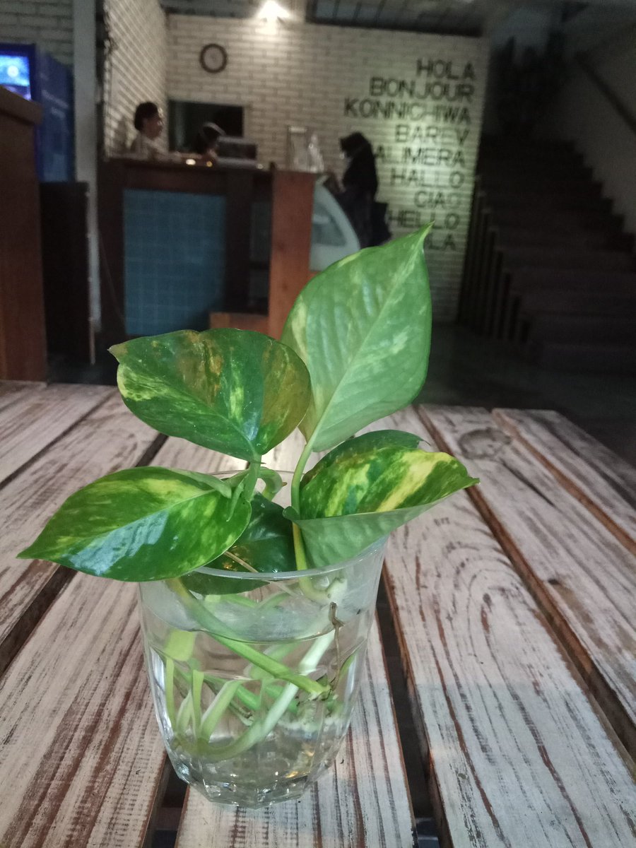 Reservasi 👉 bit.ly/31E1aIF