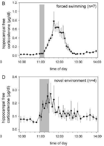 2/ To me this looks like a noticeable increase in brain free corticosterone 10-15min after start of swim stress, possibly faster 5-10min after novelty "stress". Does this mean around 10min is the fastest that (membrane) MR/GR can trigger any immediate cellular effects?