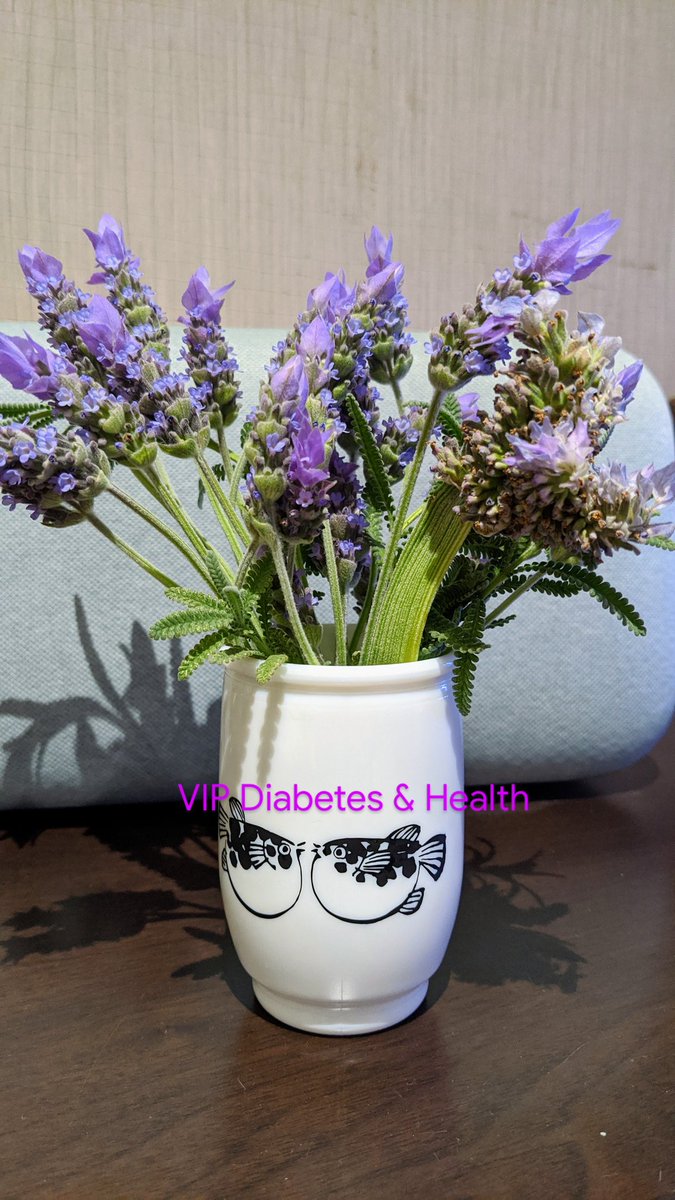 vipdiabetes's tweet image. #Happy #SpringDay2020 from #Australia 🤗  👍 Doing #pain #management training to serve more patients with excellent #quality of #life &amp;amp; less #medicine &amp;amp; more #empowerment and  #ENCOURAGEMENT in  #PatientEngagement @Painaustralia @PSA_National @