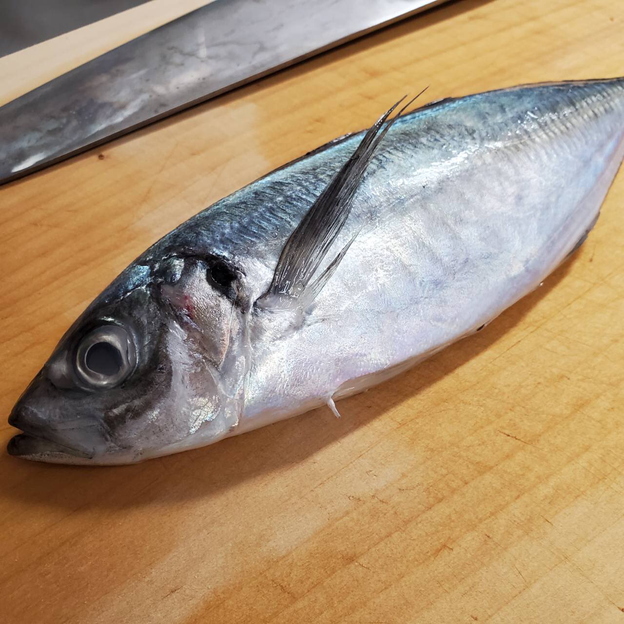 魚を捌く Twitter Search Twitter