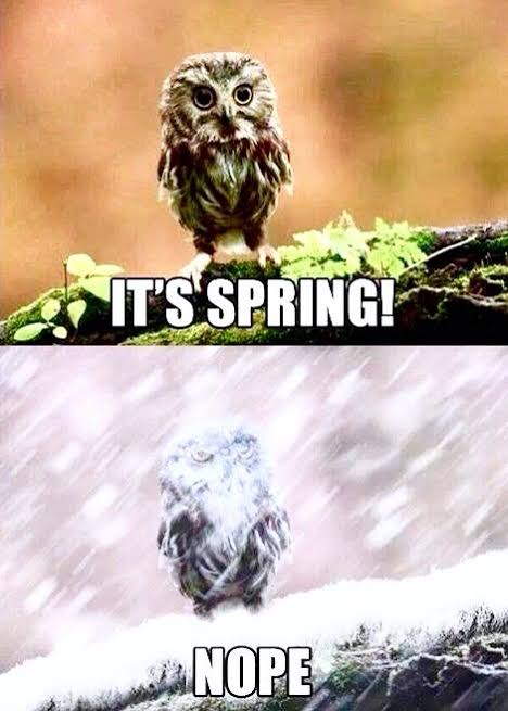 So iets.... Gelukkige lente dag almal. 🥶