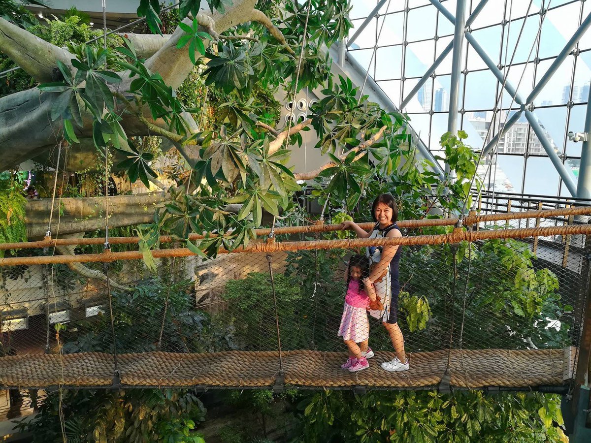 15) The Green Planet (Dubai)Explore and interact with a whole new world in a fully immersive indoor rain-forest   (Big Groups)